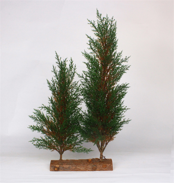 Pine Tree for Christmas Xmas Decorations