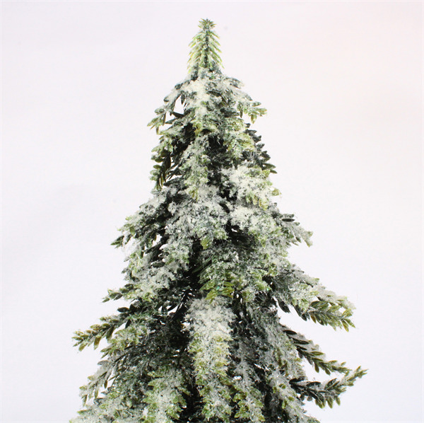 Pine Tree for Christmas.jpg