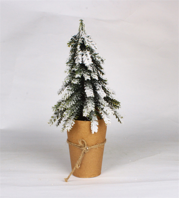 Cedar Trees for Christmas in Original Packaging.jpg